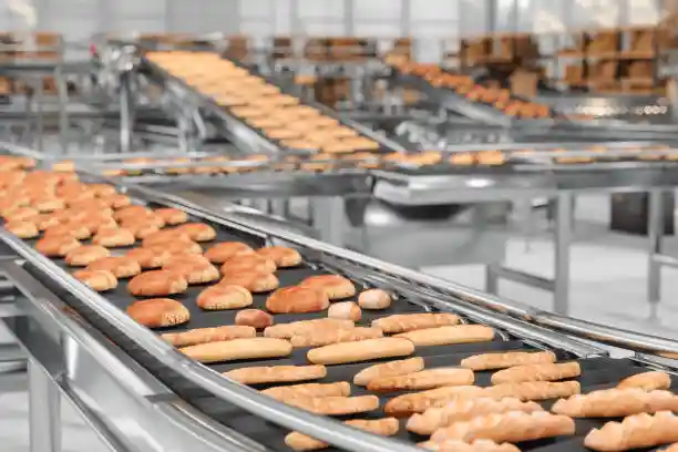 Food Processing Automation