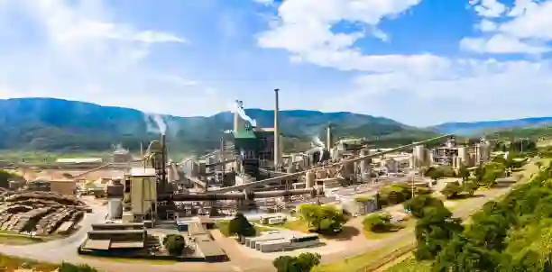 Tasmanian Eucalyptus Chip Mill Processing Line