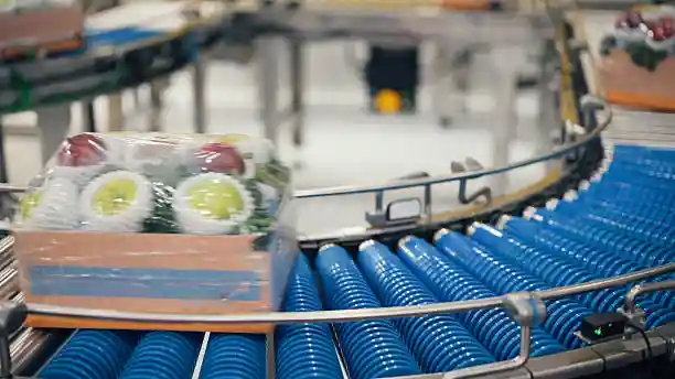 Fruit Processing