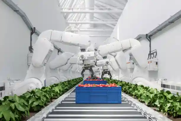 Delta Robot Packaging