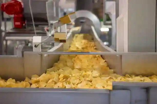 Snack Production Packaging